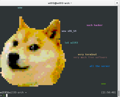 doge terminal